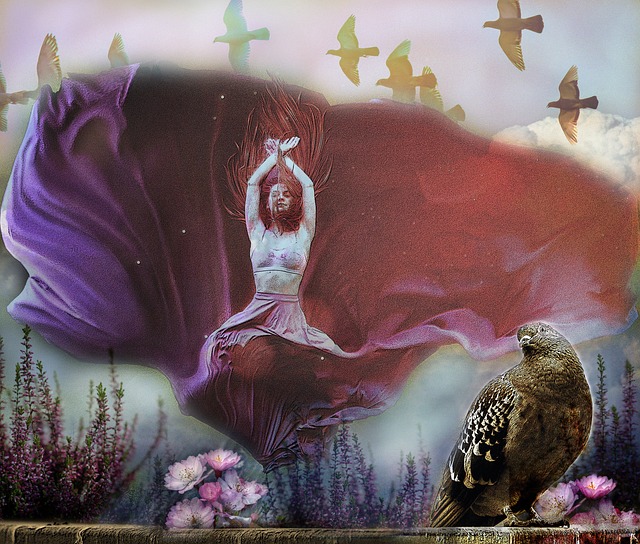 意味着蓉城 意味着蓉城