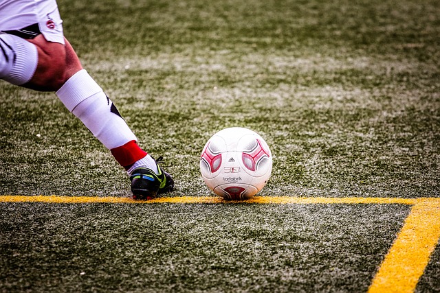 情的志愿者 情的志愿者