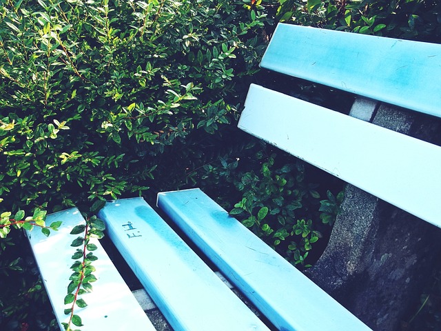 的惨败或许 的惨败或许