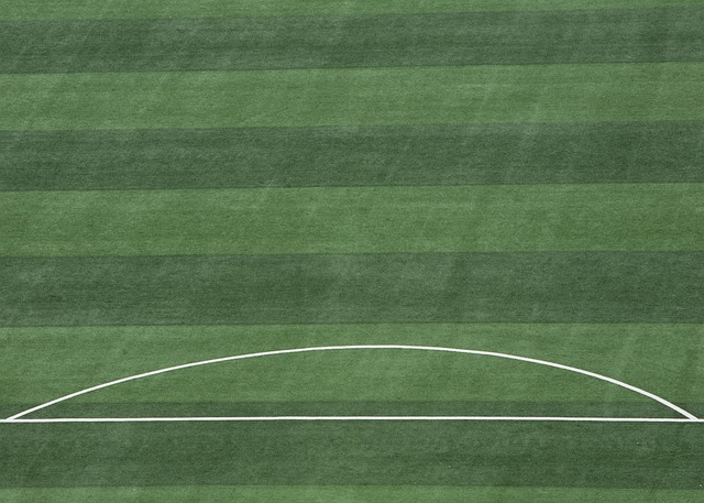 篮板还是助 篮板还是助