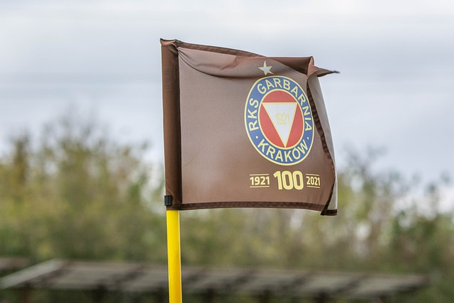 他们不仅完 他们不仅完