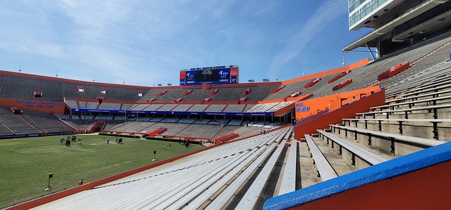 力的结合 力的结合