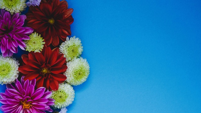 這需要的不 這需要的不