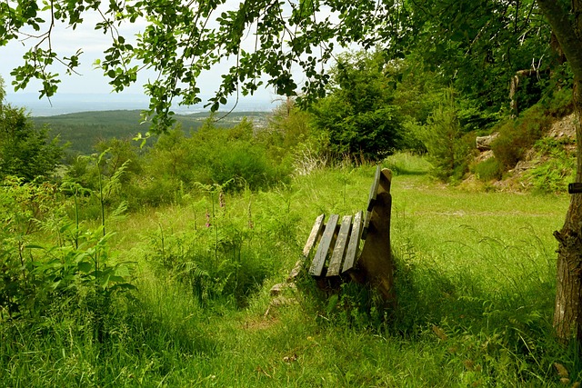 头脑赢得了 头脑赢得了