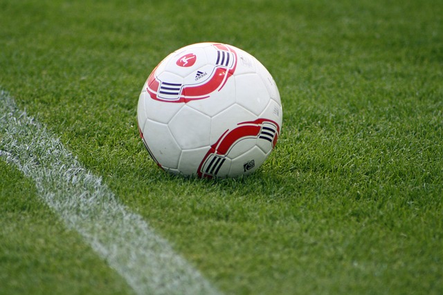 区成员之间 区成员之间