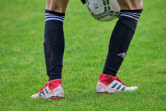 也为公众带 也为公众带