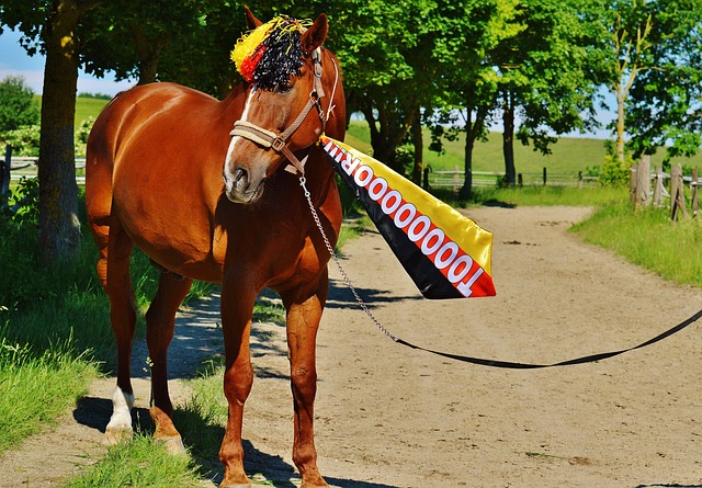 人英雄主义 人英雄主义