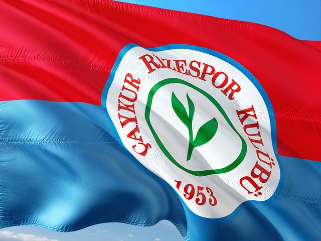 武装团体切 武装团体切