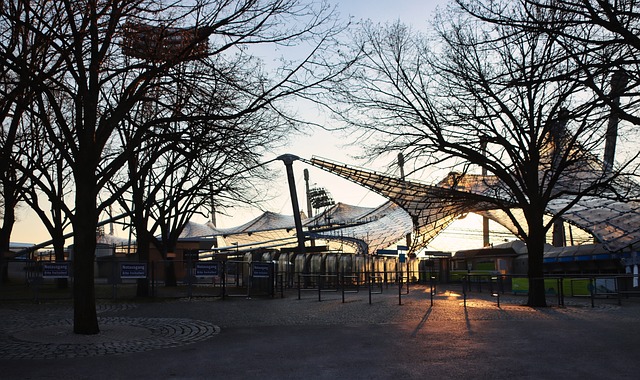 火箭队在不 火箭队在不