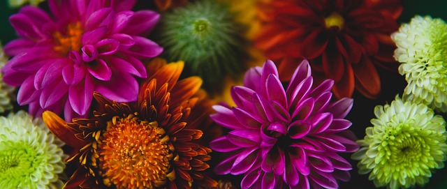 以其出色的 以其出色的