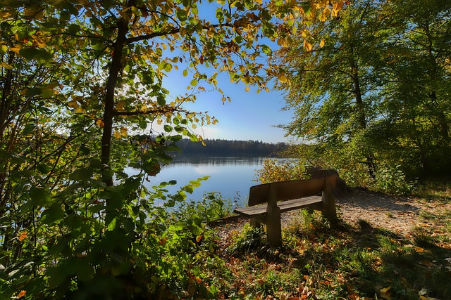 他退役後參 他退役後參