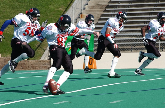 尔夫运动的 尔夫运动的