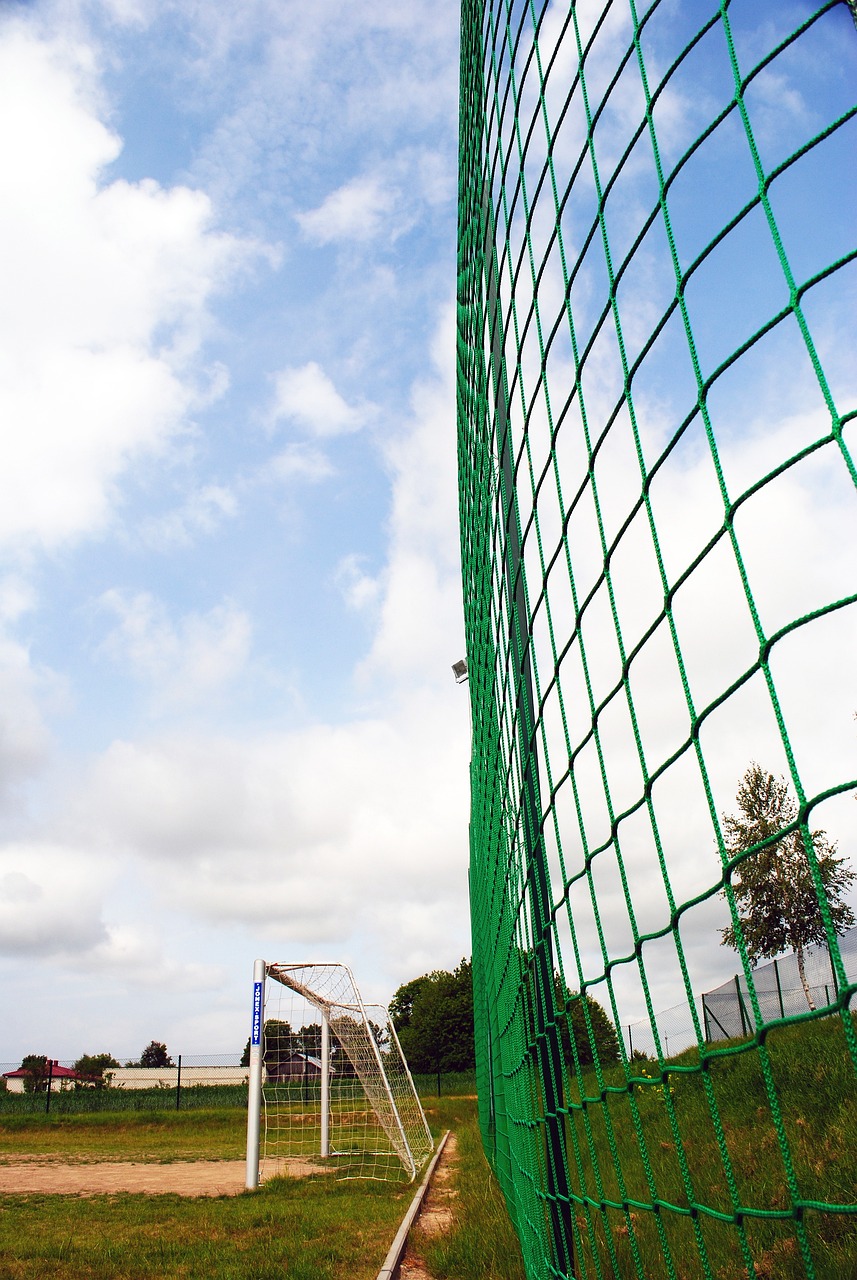 花样滑冰演 花样滑冰演