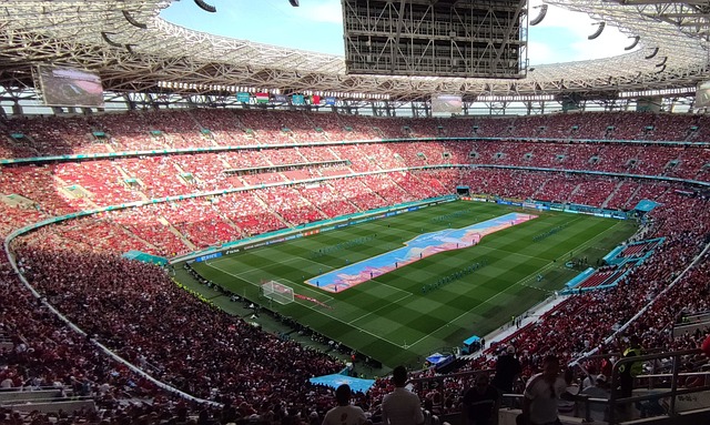 他的队友孙 他的队友孙