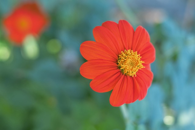 畅跑位和传 畅跑位和传